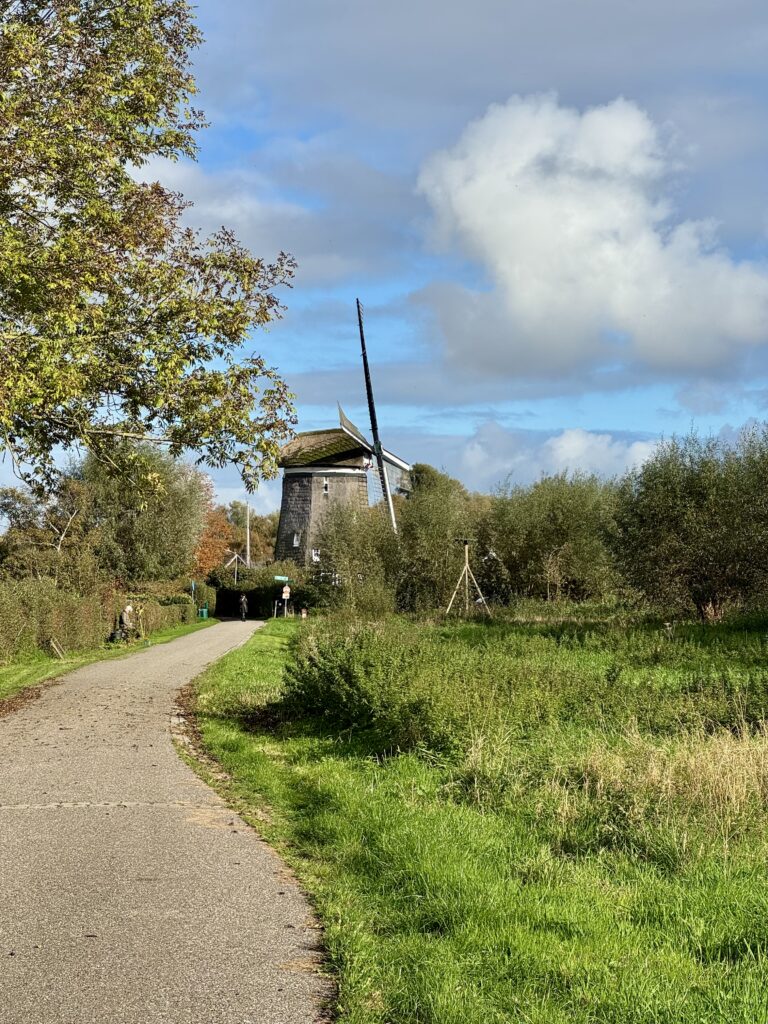 🍁 Een week vol herfst &ndash; 跟著荷蘭秋色學荷語