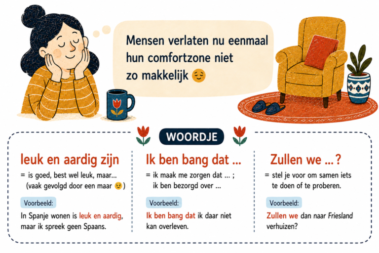 荷蘭家常小劇場 (Thuis in het Nederlands)
